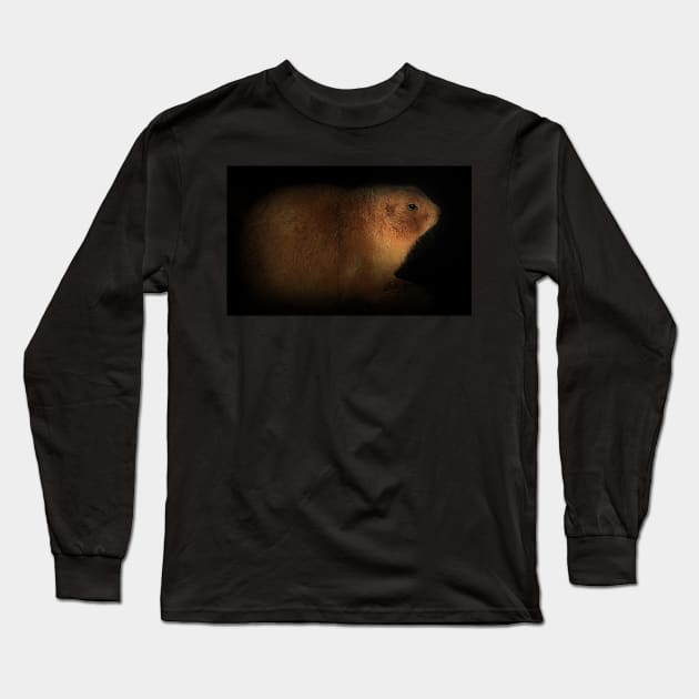 Mr Prairie Dog Long Sleeve T-Shirt by Ladymoose